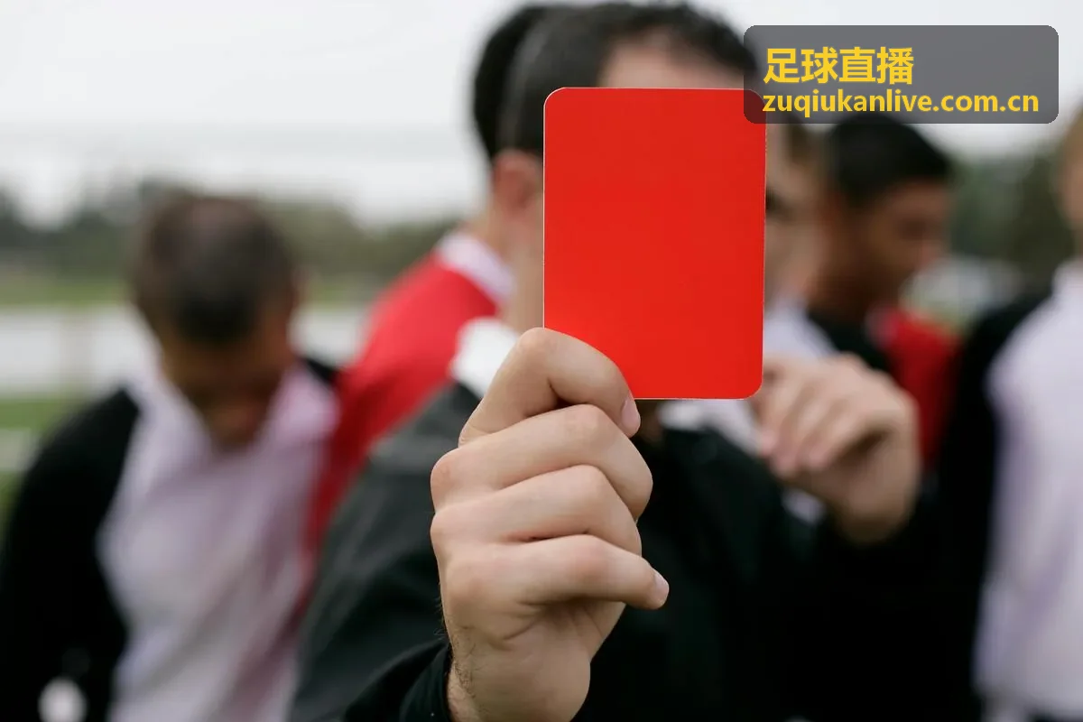 足球直播视频集锦